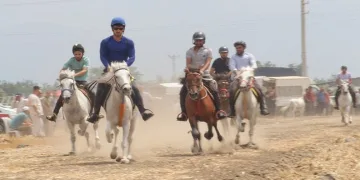 Osmaniye’de rahvan at yarışları nefes kesti