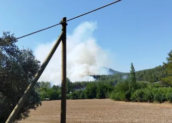 Muğla’da bir orman yangını daha