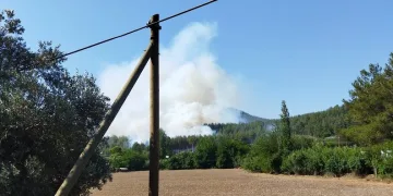 Muğla’da bir orman yangını daha
