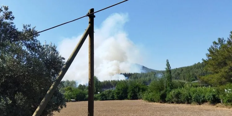 Muğla’da bir orman yangını daha
