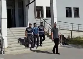 Van’da 10 yıl hapis cezası bulunan şahıs tutuklandı