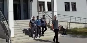 Van’da 10 yıl hapis cezası bulunan şahıs tutuklandı