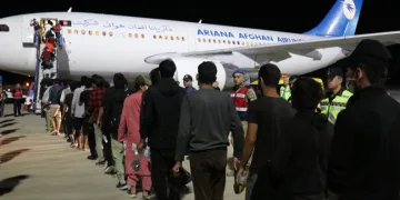 227 düzensiz göçmene sınır dışı
