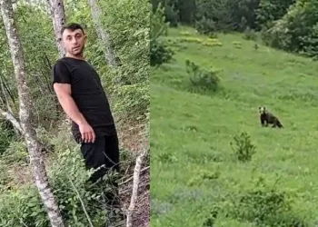 Çiftçi, ayı ile iletişim kurmaya çalışırsa