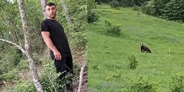 Çiftçi, ayı ile iletişim kurmaya çalışırsa