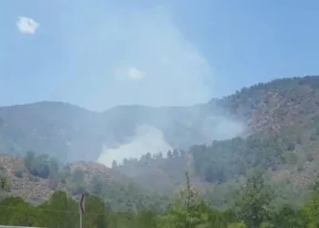 Muğla’da bir yangın daha!