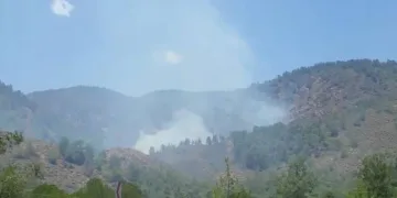 Muğla’da bir yangın daha!