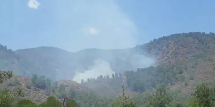 Muğla’da bir yangın daha!