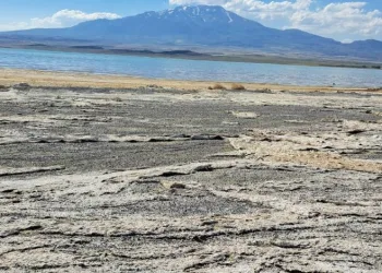 Kuş cenneti Arin Gölü yok oluyor