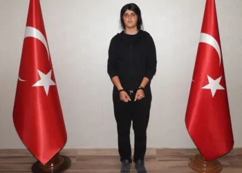 MİT operasyonuyla Türkiye’ye getirildi