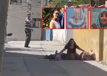 Sokak köpeklerini besledikleri için öldürüldüler