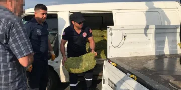 1,5 ton midyeye el konuldu