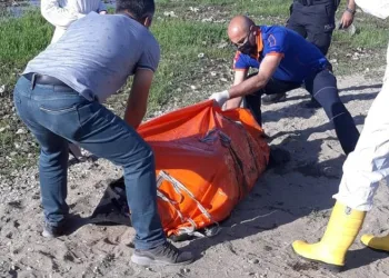 Van Gölü kıyısında çürümüş ceset bulundu