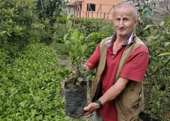Hobi olarak başladı mesleği oldu
