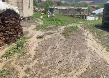 Ağrı’da 2 köyde sel