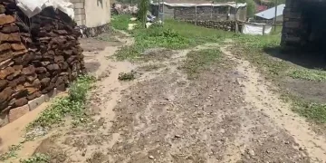 Ağrı’da 2 köyde sel