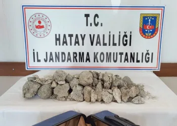 Balina kusmuğu operasyonu! Piyasa değeri 4 milyon lira