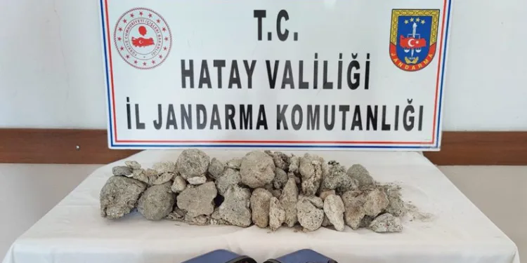 Balina kusmuğu operasyonu! Piyasa değeri 4 milyon lira
