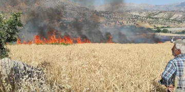 1 yıllık emeği küle döndü