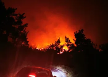 Marmaris’te orman yangını! Müdahale yeniden başladı