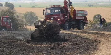 200 dekar buğday tarlası kül oldu
