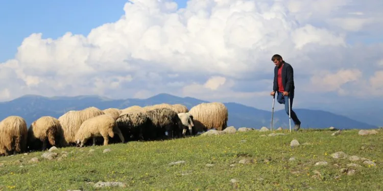 26 yıldır tek bacağıyla çobanlık yapıyor