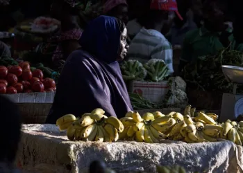 Dünyada gelir eşitsizliği tavan yaptı