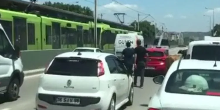 Bursa’da kaçan boğalar trafiği kilitledi