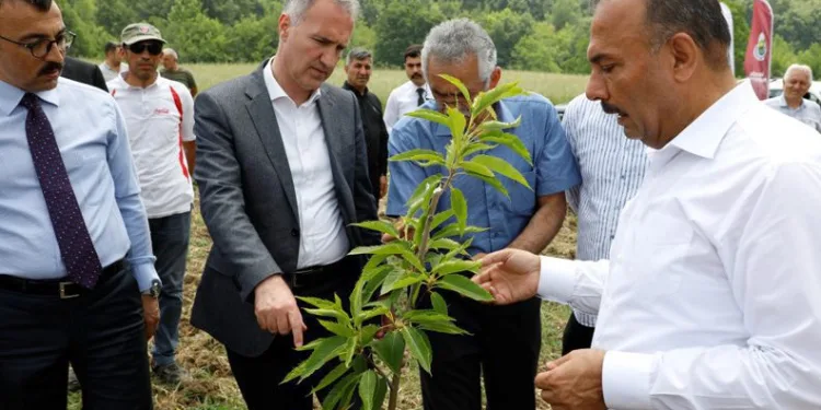 Bursa’da 3 demonstrasyon bahçesi kuruldu
