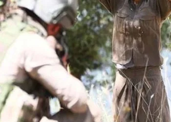 3 PKK’lı terörist teslim oldu