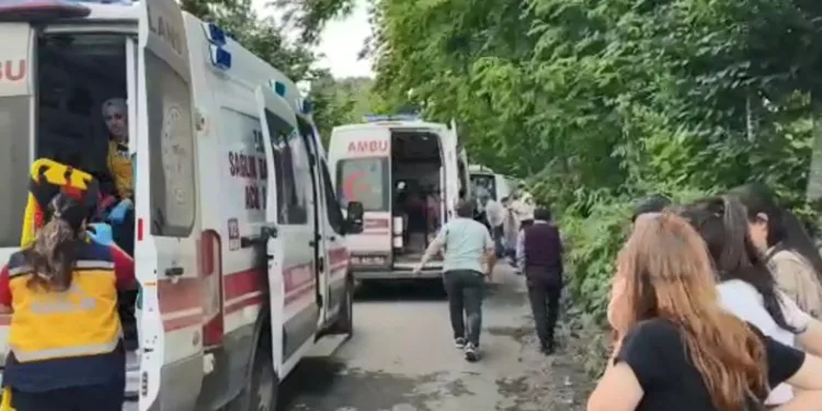 Akademisyenleri taşıyan araç devrildi: 1 ölü, 19 yaralı