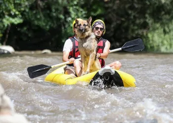 Leo, Bursa’daki rafting turlarının maskotu oldu
