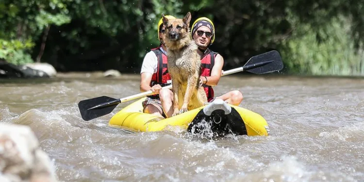 Leo, Bursa’daki rafting turlarının maskotu oldu