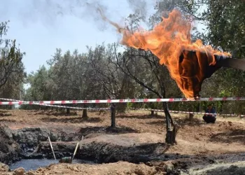 TPAO Manisa’da petrol arayacak