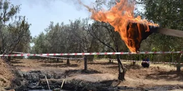 TPAO Manisa’da petrol arayacak