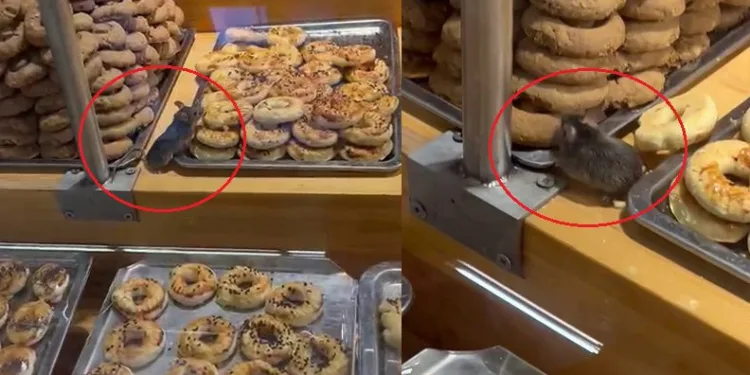 Zincir markette tepki çeken görüntü!