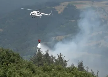 Bursa’da orman yangını!