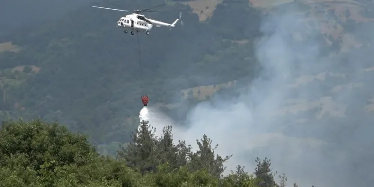Bursa’da orman yangını!