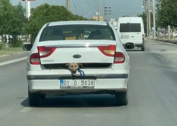 40 derece sıcakta tepki çeken görüntü