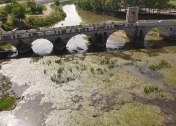 Tunca Nehri bataklığa döndü