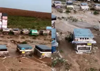 Yüzlerce kovan çamura gömüldü