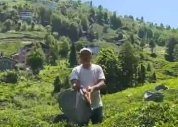 Rizeli çay üreticisinden Selçuk Bayraktar’a çağrı
