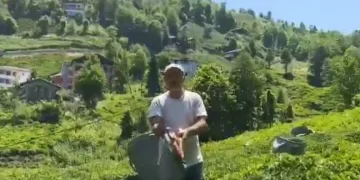 Rizeli çay üreticisinden Selçuk Bayraktar’a çağrı