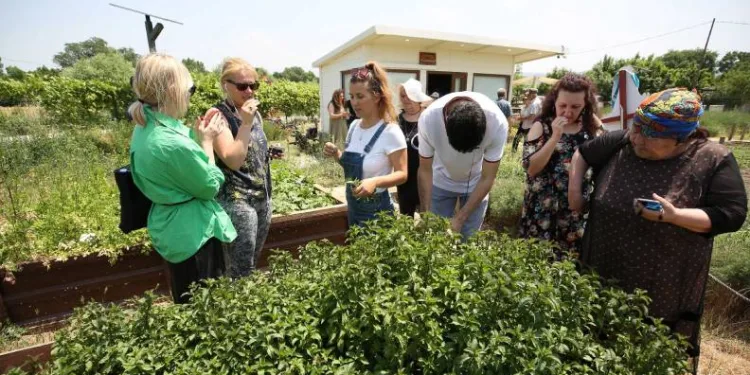 Yabancı konuklardan Nilüfer’de tarımsal inceleme