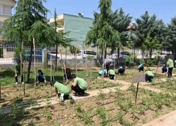 Bursa’da minikler toprakla buluştu