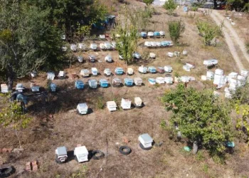 Türkiye’nin ilk ‘Arı Borsası’ Bursa’da