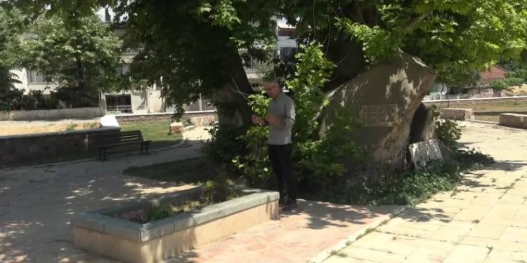 Davud-i Kayseri Hazretlerinin kabri ziyaretçilerini bekliyor