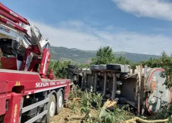 Yoldan çıkan tır meyve bahçesine devrildi