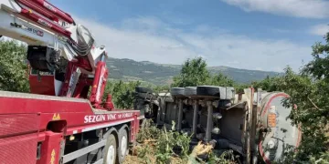 Yoldan çıkan tır meyve bahçesine devrildi