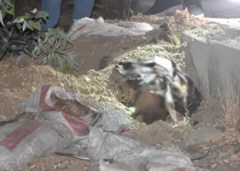 Kum dolu çuvalın içinden ceset çıktı